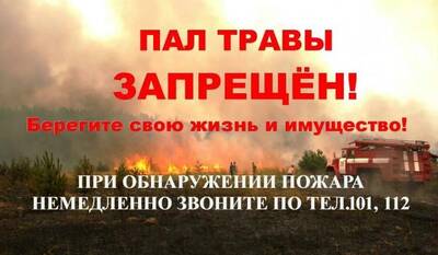 https://nsportal.ru/sites/default/files/docpreview_image/2025/04/13/pamyatka_1.docx_image1.jpg